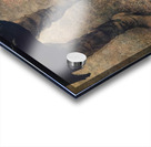 Trodden Weed   1951 - Andrew Wyeth Acrylic print