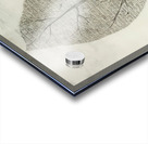 Rene Magritte Acrylic print