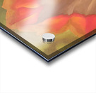 Georgia OKeeffe 56 Acrylic print