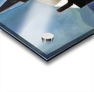 Rockwell Kent  70 Acrylic print