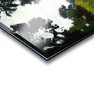 Albert Marquet  57 Acrylic print