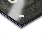 Max Ernst 42 Acrylic print