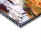 Henri Edmond Cross 56 Acrylic print