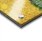 Vincent van Gogh 28 Acrylic print