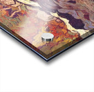 Manly Edward MacDonald   12 Acrylic print