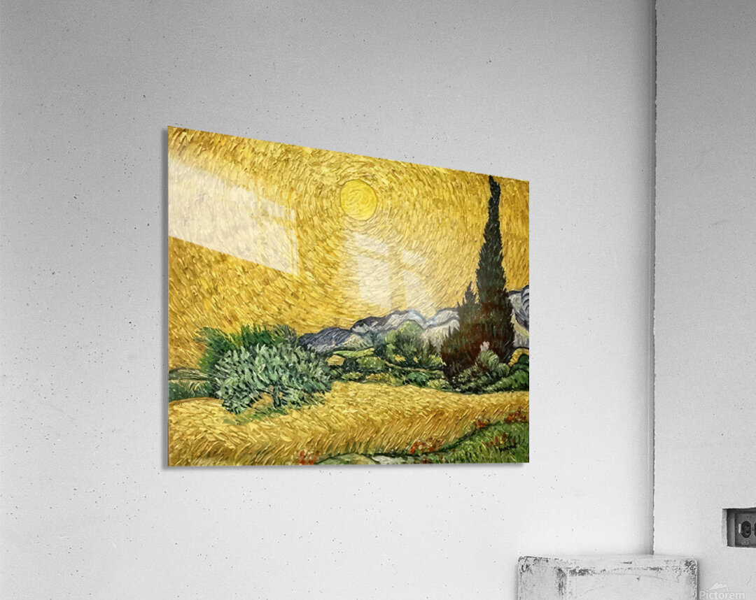 Vincent van Gogh 28 Acrylic Print