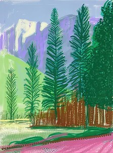 David Hockney 49