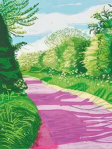 David Hockney 45