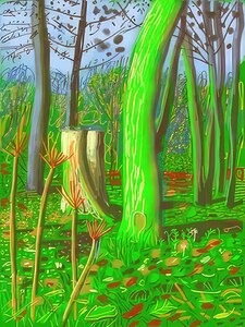David Hockney 1