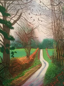 David Hockney 17