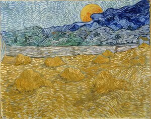 Vincent van Gogh 30