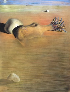 Salvador Dalí 47