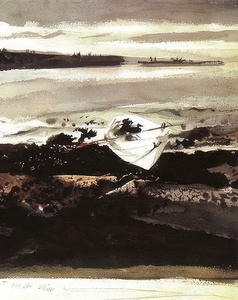 The Coot Hunter   Contemporary Realism - andrew wyeth