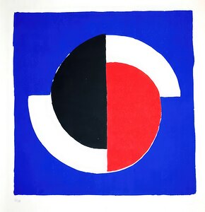 Sonia Delaunay 19