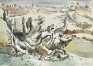 Paul Nash 45