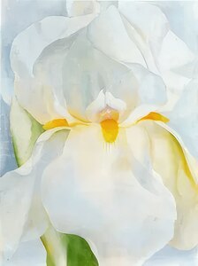 Georgia OKeeffe 62