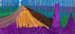 David Hockney 50