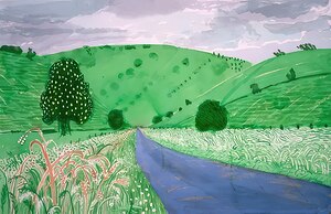 David Hockney 12