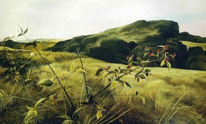 Blackberry Picker   Contemporary Realism - Andrew Wyeth