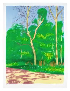 David Hockney 51