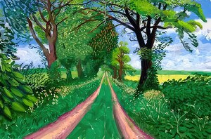 David Hockney 24