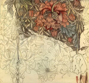 William Morris 4