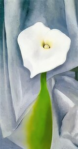 Georgia OKeeffe 7