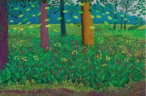 David Hockney 46