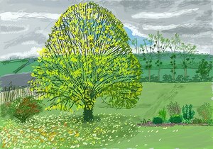 David Hockney 30