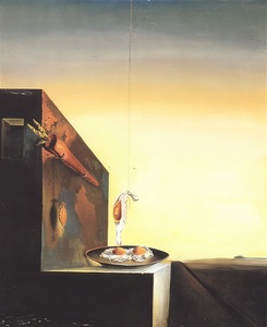Salvador Dalí 27