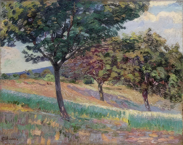 Armand Guillaumin 8 Print