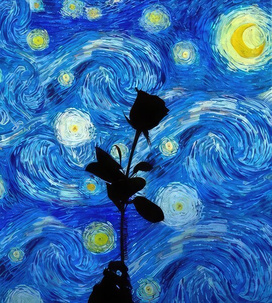 Vincent van Gogh 36 Print