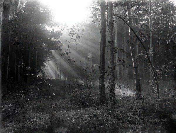 Félix Thiollier 40 Print