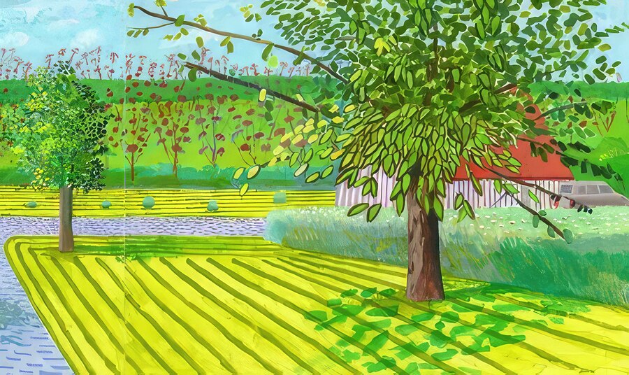 David Hockney 20  Print