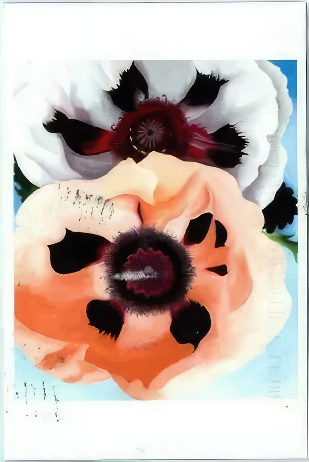 Georgia OKeeffe 14  Print