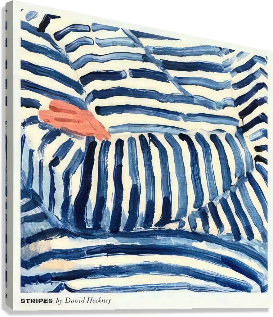 David Hockney 24 Canvas Print