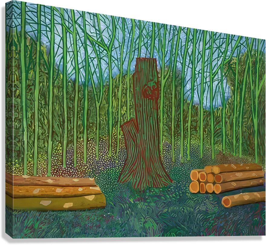 David Hockney 29 Canvas Print