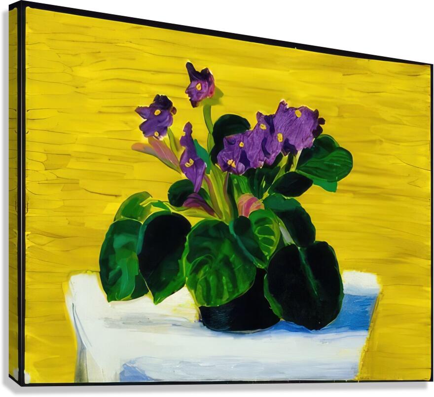 David Hockney  Canvas Print