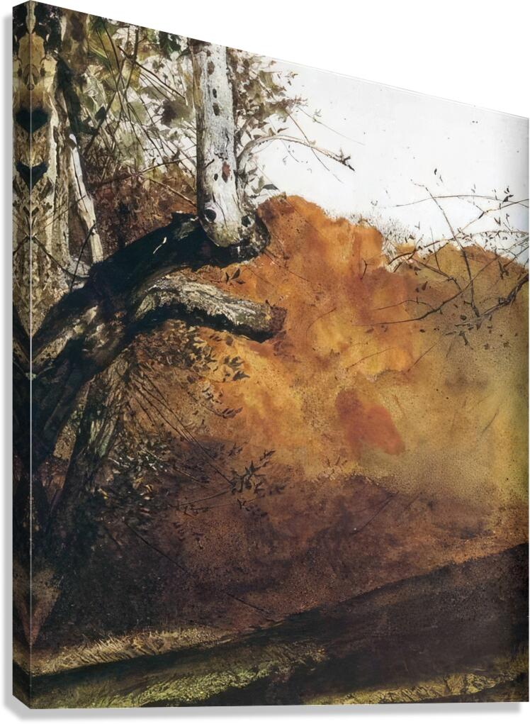 Autumn   Contemporary Realism - Andrew Wyeth Canvas Print