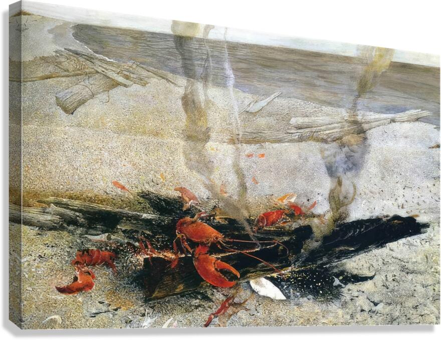 Embers   2000 - Andrew Wyeth Canvas Print