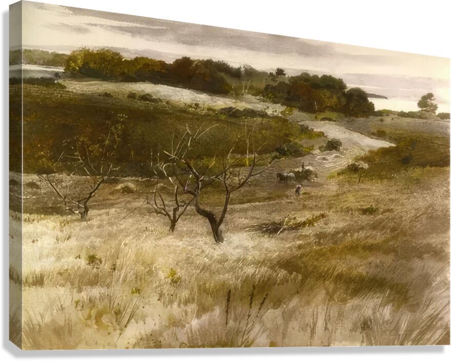 Andrew Wyeth Canvas Print