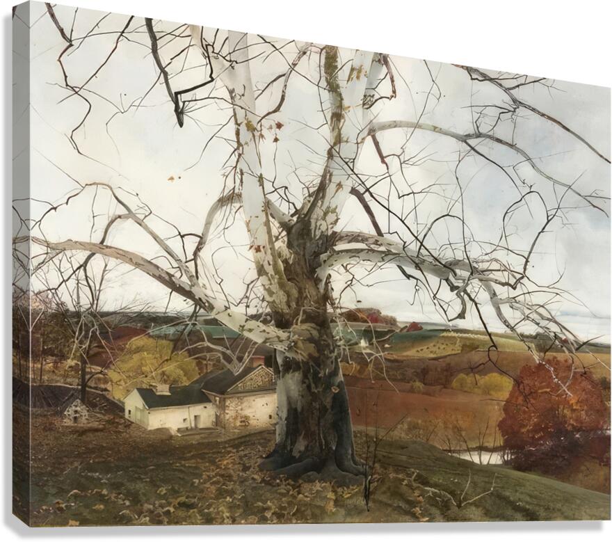 Andrew Wyeth Canvas Print