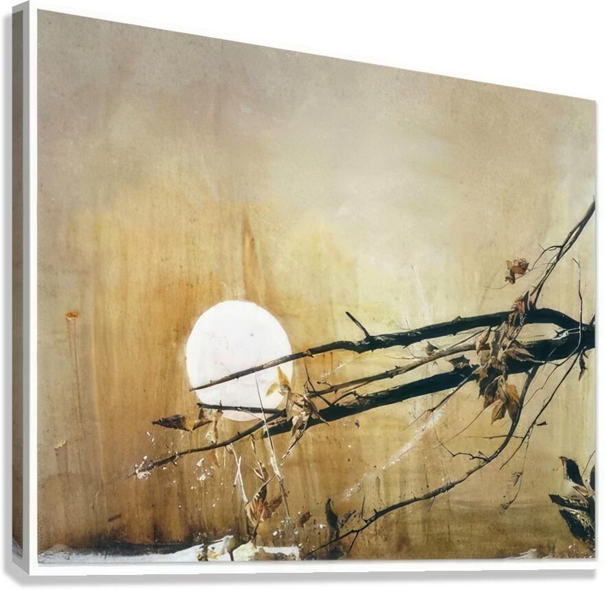Andrew Wyeth Canvas Print
