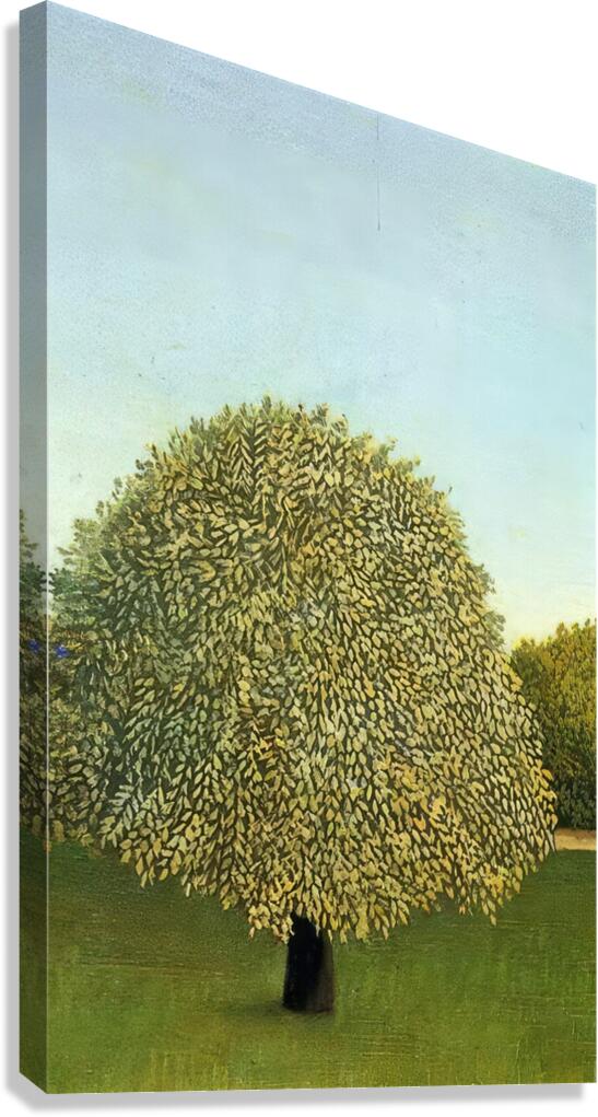 Henri Rousseau 27 Canvas Print