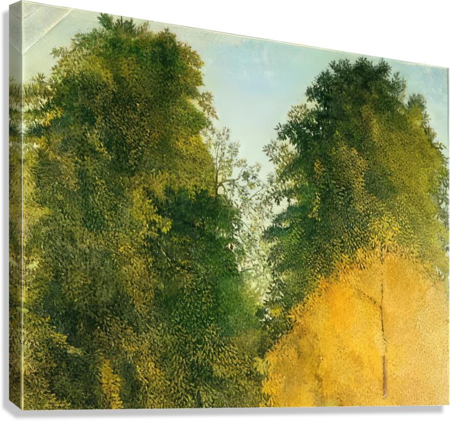 Henri Rousseau 35 Canvas Print