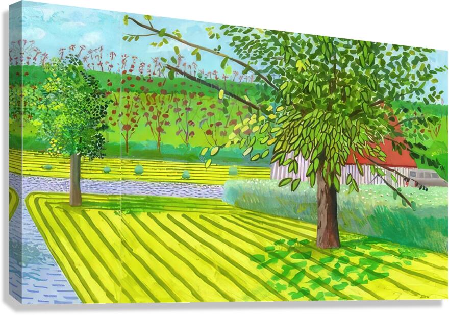 David Hockney 20 Canvas Print