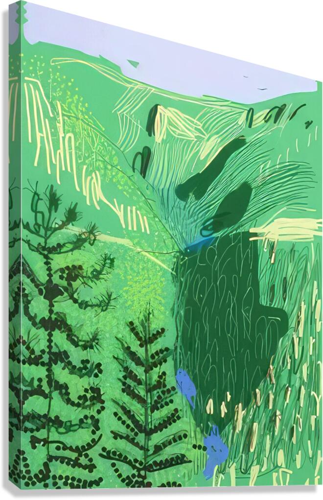 David Hockney 25 Canvas Print