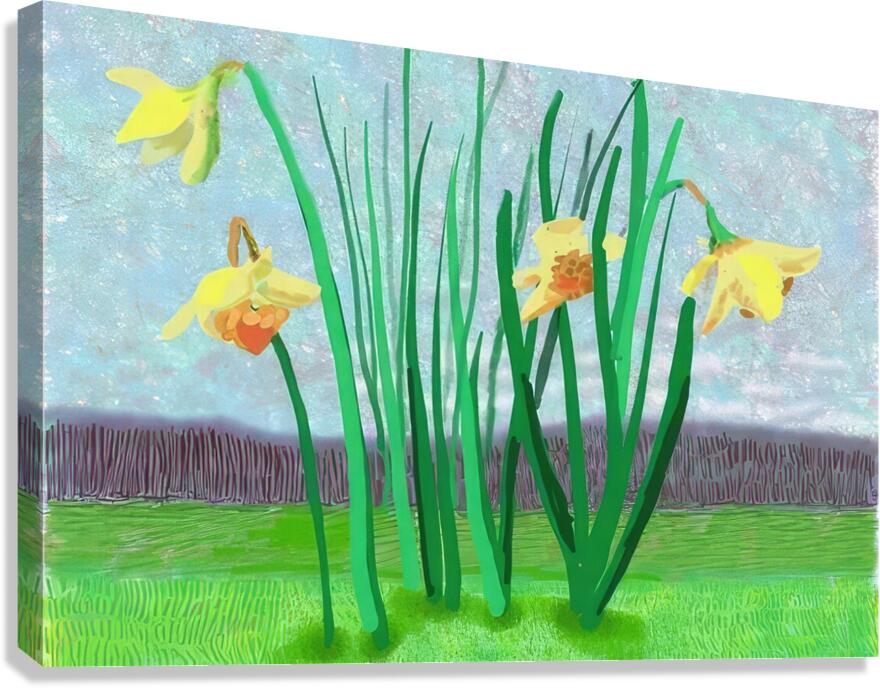 David Hockney 26 Canvas Print