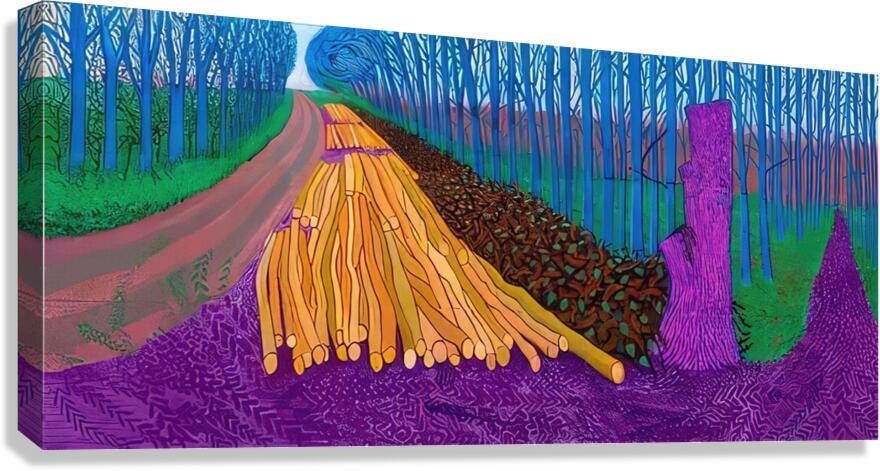 David Hockney 50 Canvas Print
