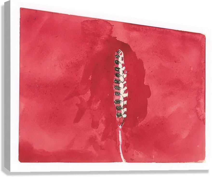 New Upload   Hilma af Klint 24 Canvas Print